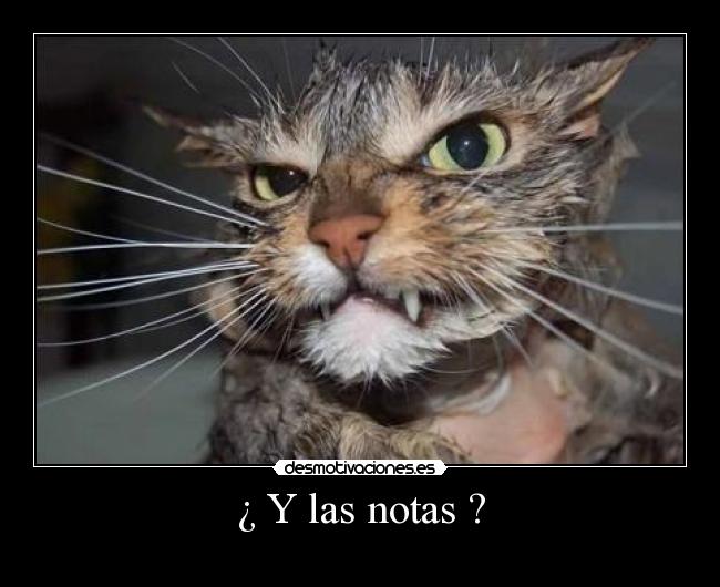 ¿ Y las notas ? - 