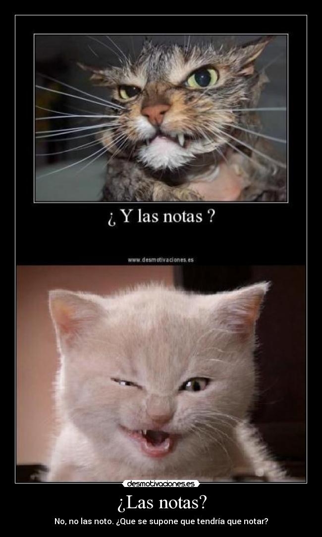 ¿Las notas? -