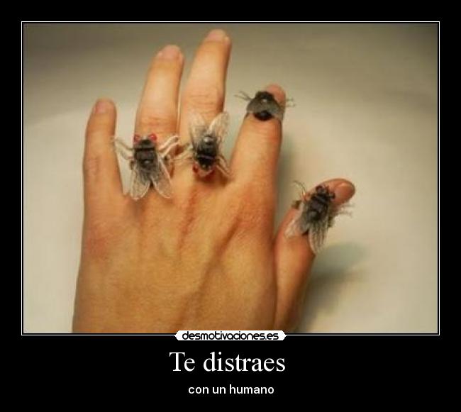 Te distraes -