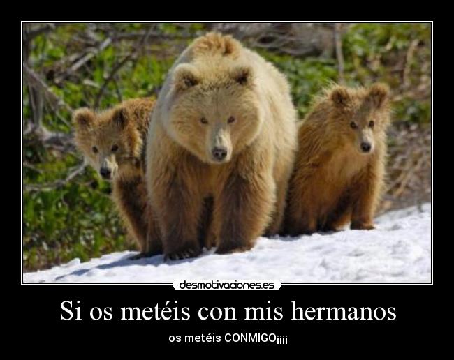Si os metéis con mis hermanos -