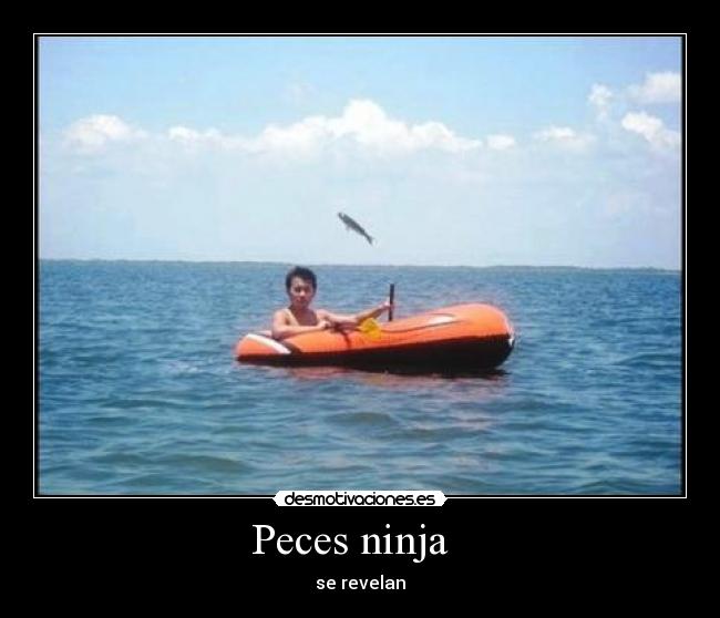Peces ninja - se revelan