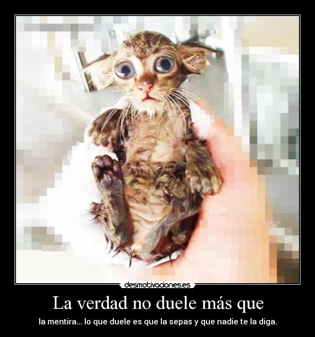 La verdad no duele más que - 