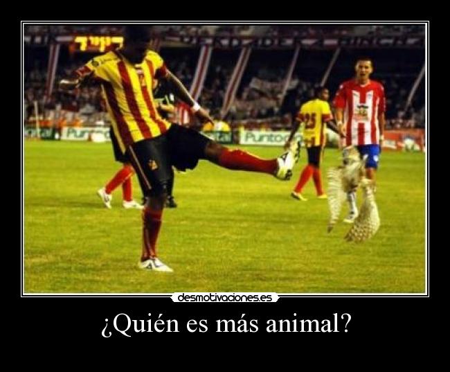¿Quién es más animal? -