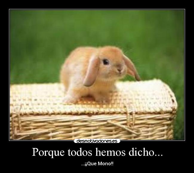 Porque todos hemos dicho... - 