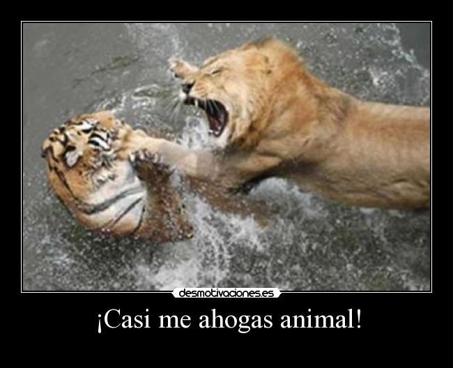 ¡Casi me ahogas animal! -