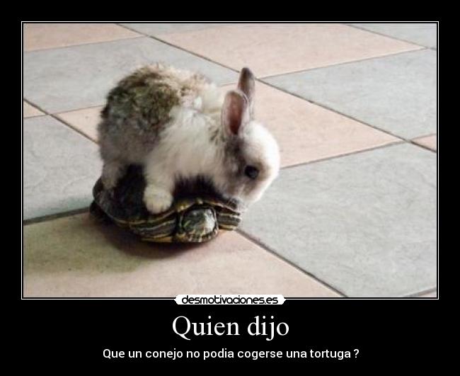 Quien dijo -
