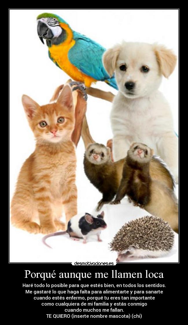 Porqué aunque me llamen loca - Haré todo lo posible para que estés bien, en todos los sentidos.
Me gastaré lo que haga falta para alimentarte y para sanarte
cuando estés enfermo, porqué tu eres tan importante
como cualquiera de mi familia y estás conmigo
cuando muchos me fallan.
TE QUIERO (inserte nombre mascota) (chi)