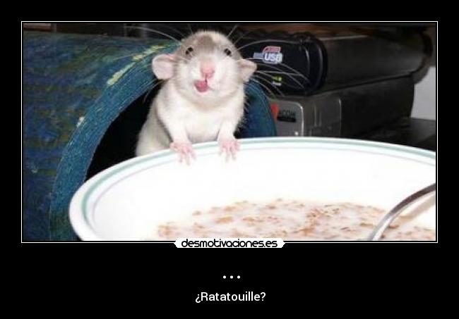 ... - ¿Ratatouille?