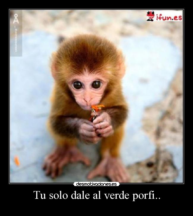 Tu solo dale al verde porfi.. -