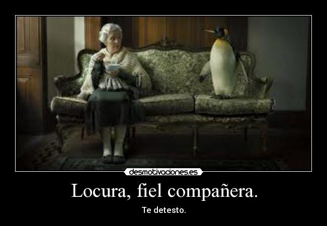 Locura, fiel compañera. - Te detesto.