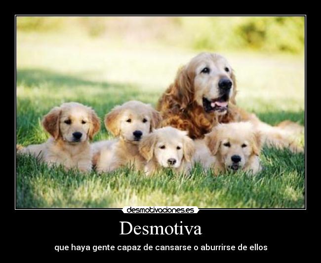 Desmotiva - que haya gente capaz de cansarse o aburrirse de ellos