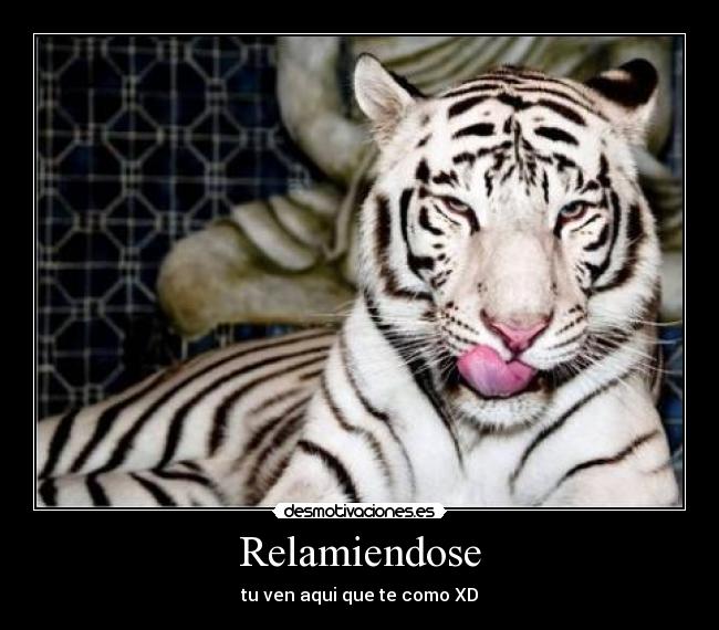 Relamiendose -