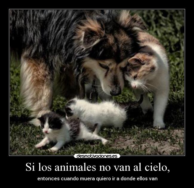 Si los animales no van al cielo, - entonces cuando muera quiero ir a donde ellos van