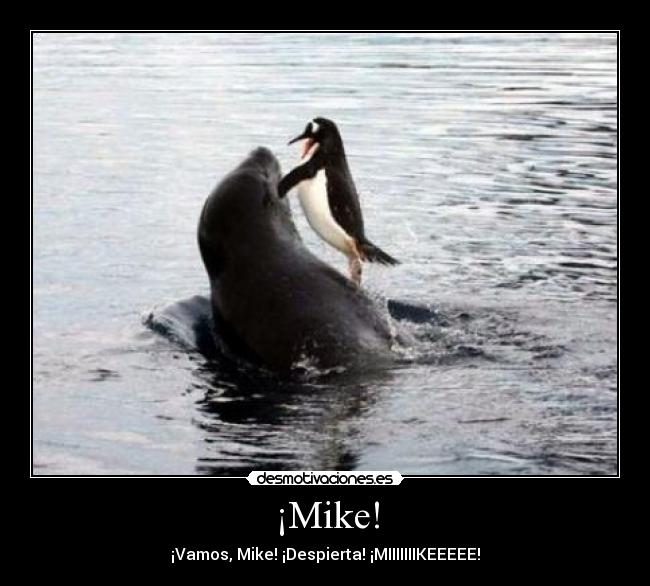 ¡Mike! -