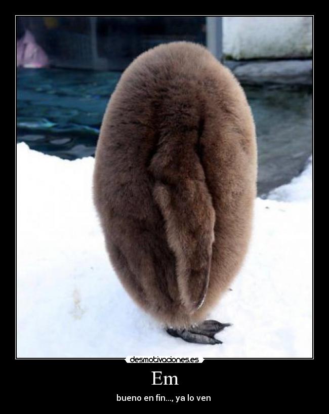 Em - bueno en fin..., ya lo ven