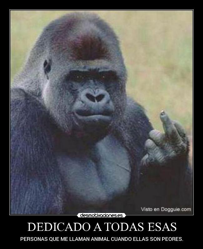 DEDICADO A TODAS ESAS - PERSONAS QUE ME LLAMAN ANIMAL CUANDO ELLAS SON PEORES.
