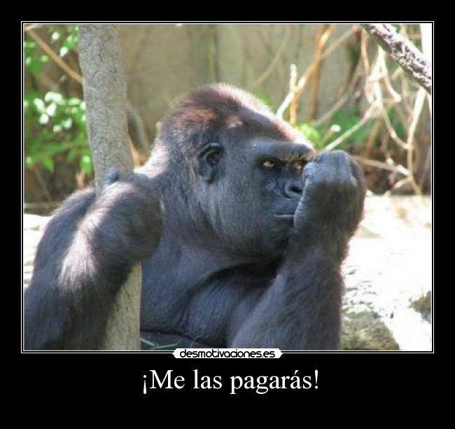 ¡Me las pagarás! - 