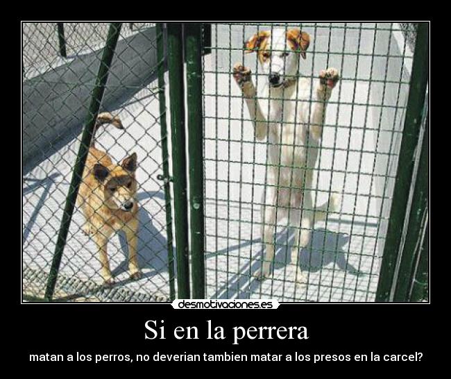 Si en la perrera - matan a los perros, no deverian tambien matar a los presos en la carcel?