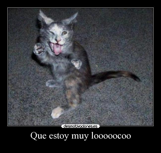 Que estoy muy looooocoo - 