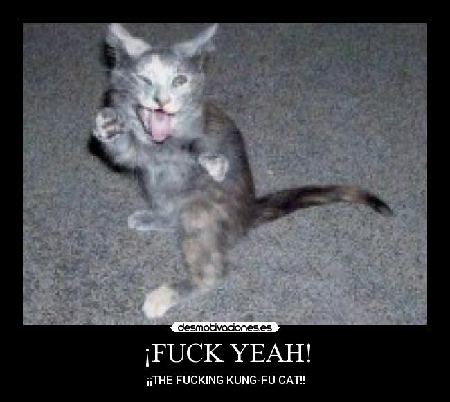 ¡FUCK YEAH! - ¡¡THE FUCKING KUNG-FU CAT!!