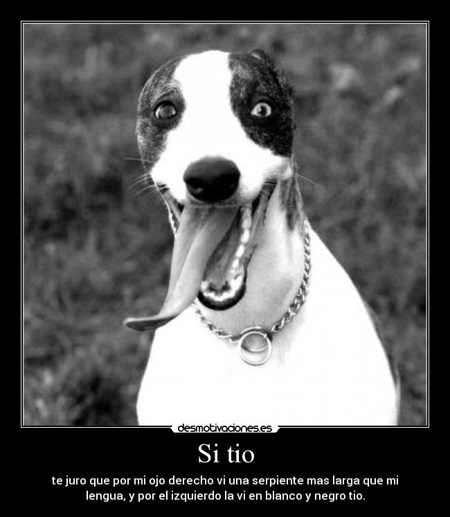 Si tio - te juro que por mi ojo derecho vi una serpiente mas larga que mi
lengua, y por el izquierdo la vi en blanco y negro tio.