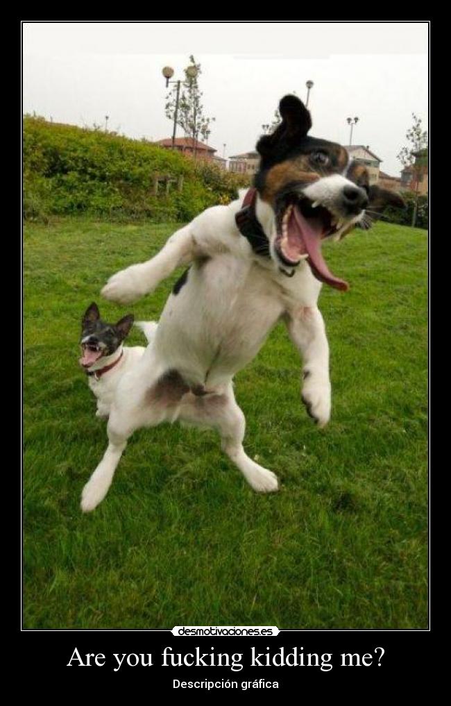 Are you fucking kidding me? - 