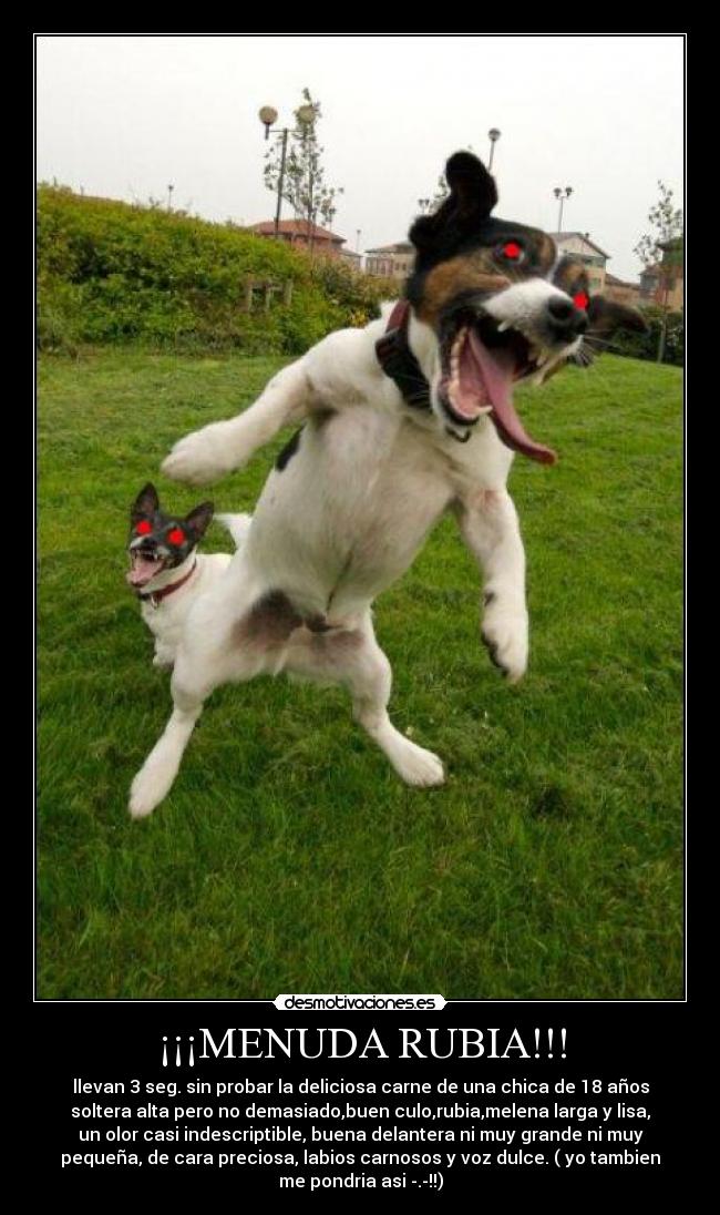 ¡¡¡MENUDA RUBIA!!! - llevan 3 seg. sin probar la deliciosa carne de una chica de 18 años
soltera alta pero no demasiado,buen culo,rubia,melena larga y lisa,
un olor casi indescriptible, buena delantera ni muy grande ni muy
pequeña, de cara preciosa, labios carnosos y voz dulce. ( yo tambien
me pondria asi -.-!!)