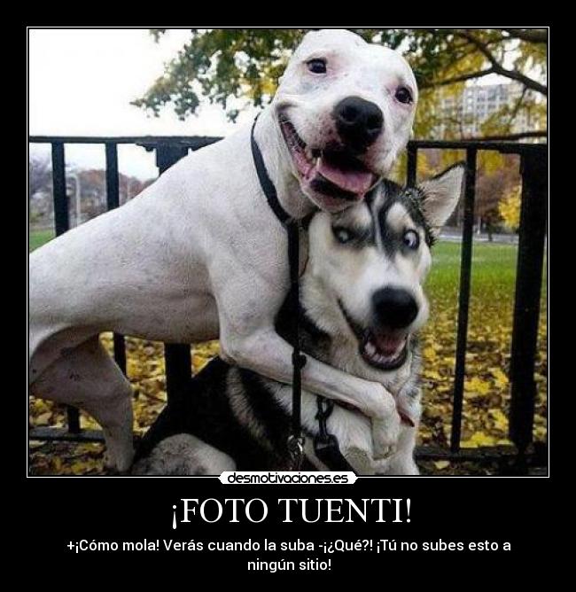 ¡FOTO TUENTI! - +¡Cómo mola! Verás cuando la suba -¡¿Qué?! ¡Tú no subes esto a ningún sitio!