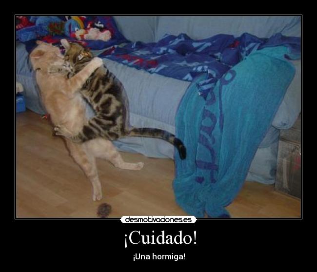 ¡Cuidado! -