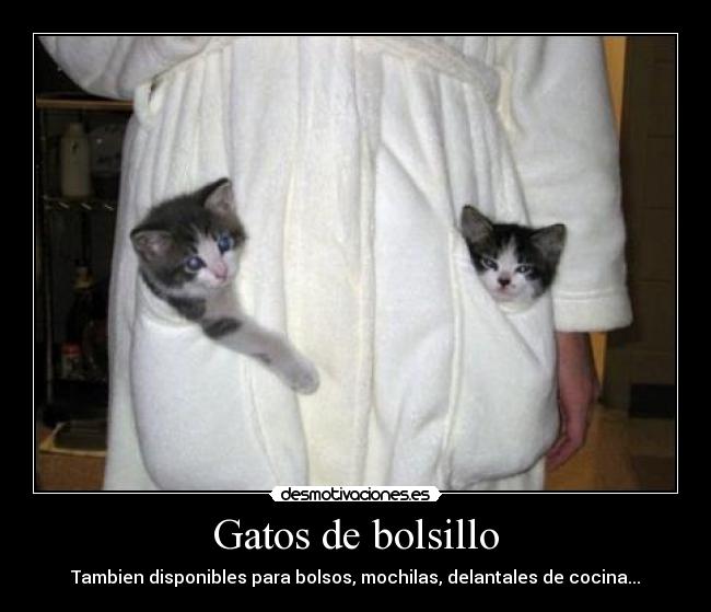 Gatos de bolsillo - Tambien disponibles para bolsos, mochilas, delantales de cocina...