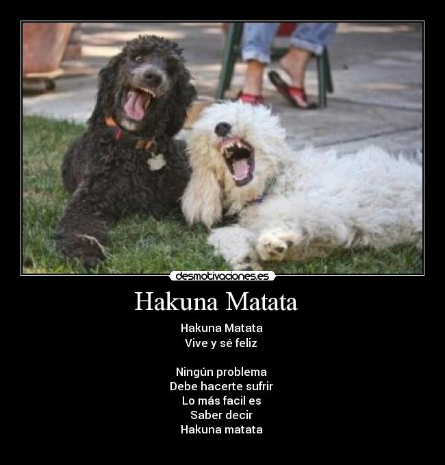 Hakuna Matata   - 