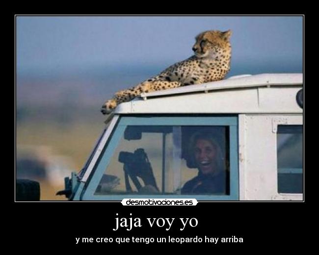jaja voy yo -