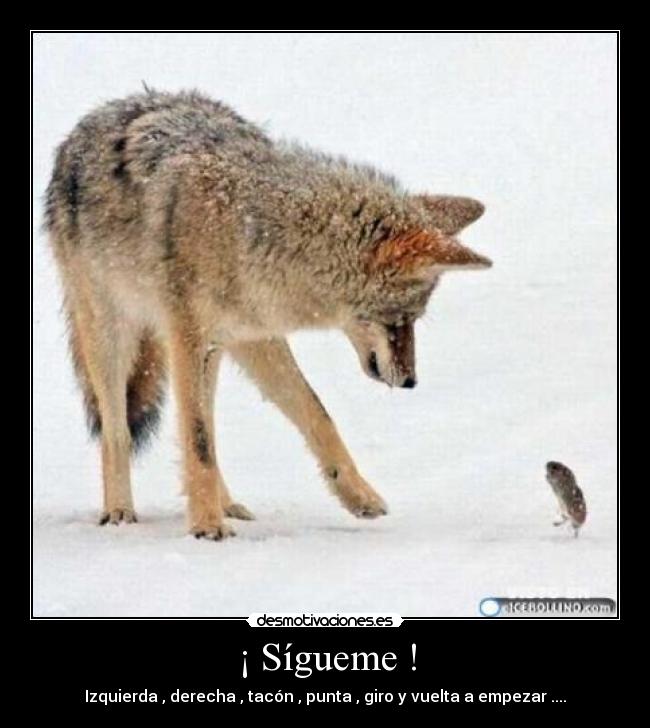 ¡ Sígueme ! -