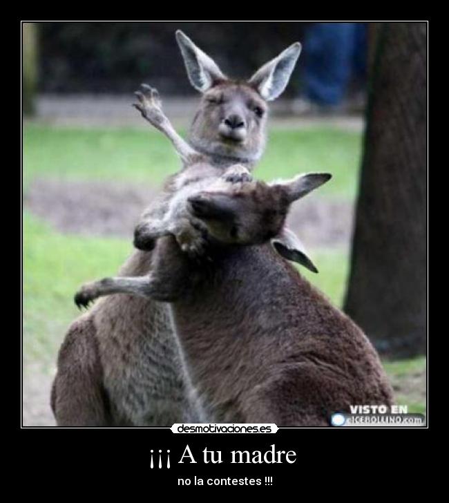 ¡¡¡ A tu madre -