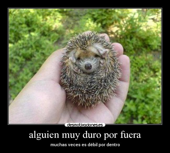 alguien muy duro por fuera -