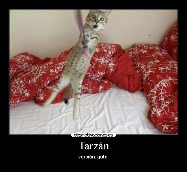 Tarzán - 