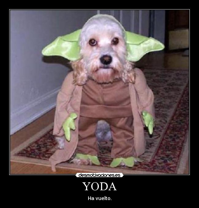 YODA - Ha vuelto.