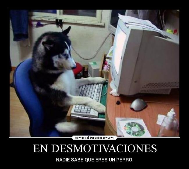 EN DESMOTIVACIONES -