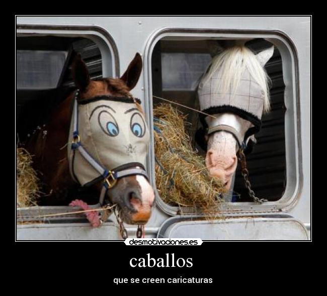 caballos  - que se creen caricaturas 