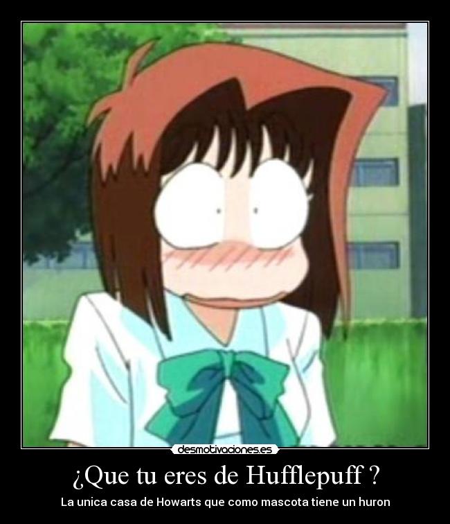 ¿Que tu eres de Hufflepuff ? -