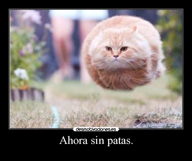 Ahora sin patas. -