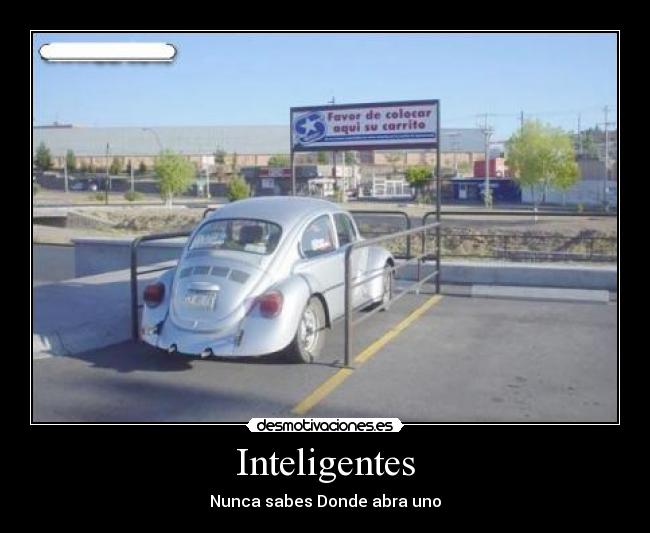 Inteligentes - Nunca sabes Donde abra uno