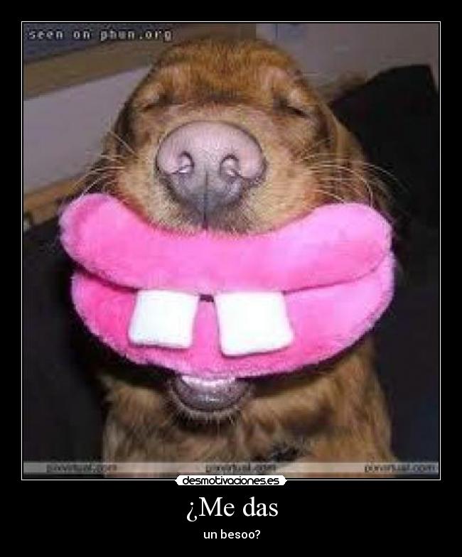 ¿Me das - un besoo?