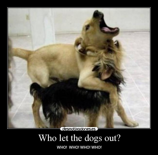 Who let the dogs out? - WHO!  WHO! WHO! WHO!