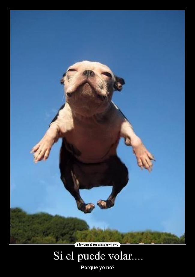 Si el puede volar.... - Porque yo no?