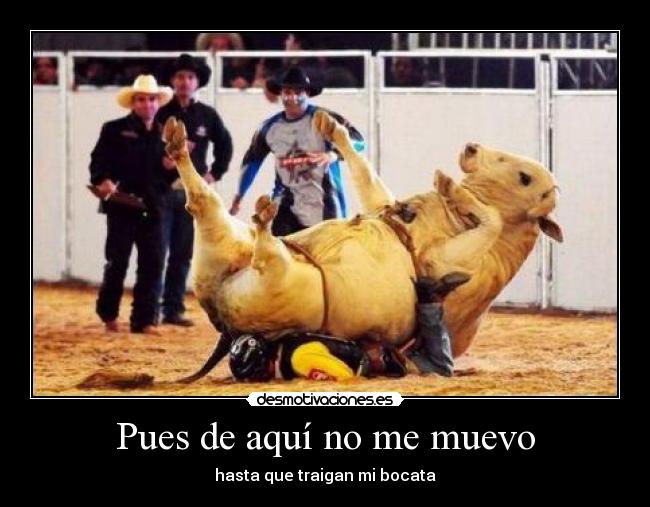 carteles baca gorda desmotivaciones