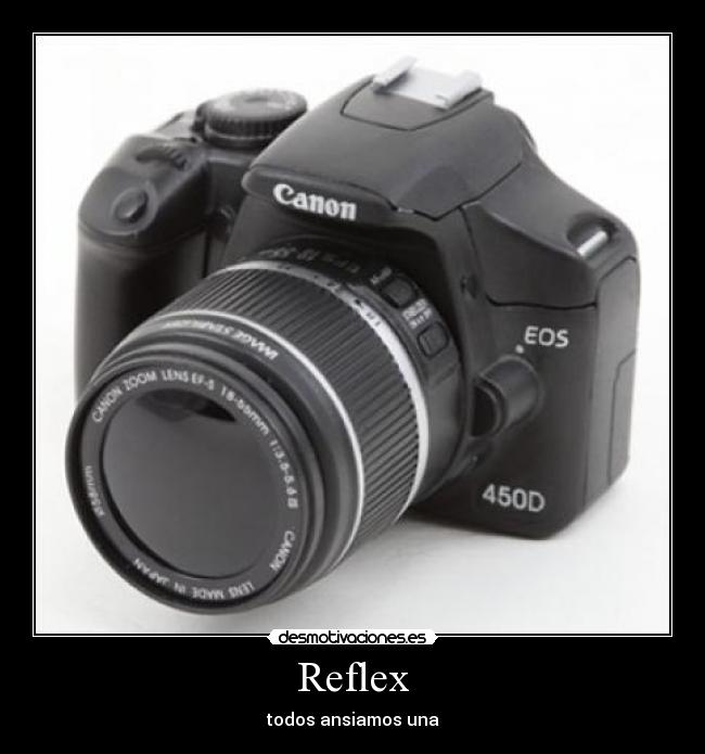 Reflex -