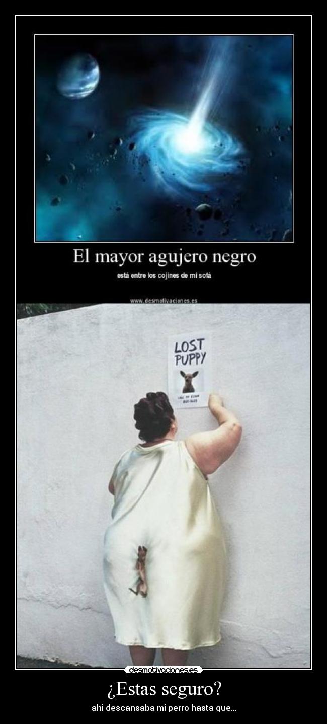 ¿Estas seguro? - ahi descansaba mi perro hasta que...