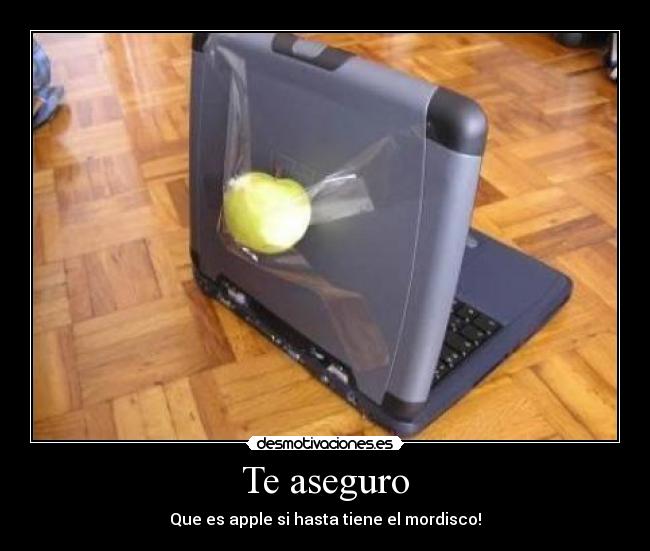 carteles aseguro desmotivaciones