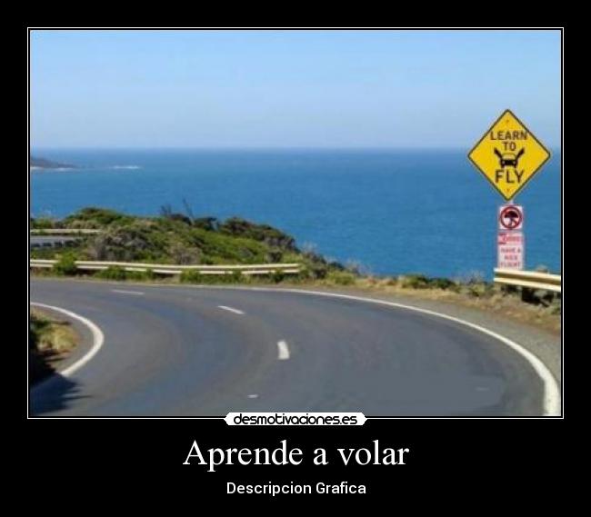 Aprende a volar - Descripcion Grafica